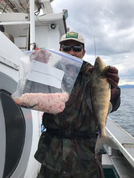 シーランチ 釣果