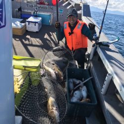 シーランチ 釣果