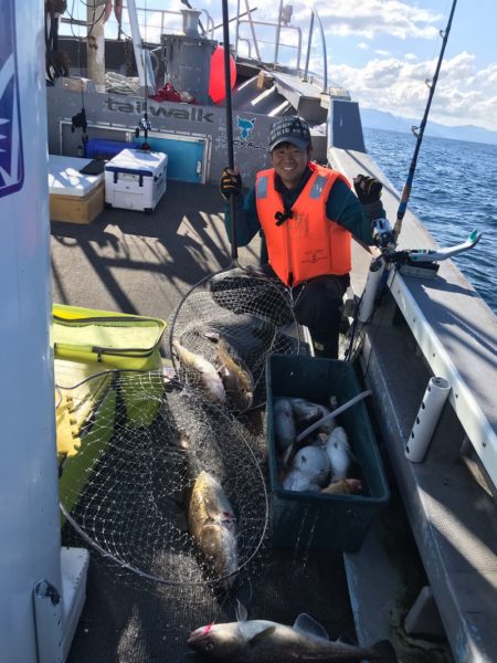 シーランチ 釣果