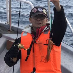 シーランチ 釣果