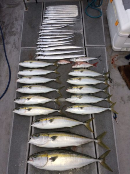 SeaRide(シーライド) 釣果