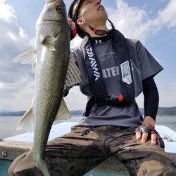 アマテラス 釣果