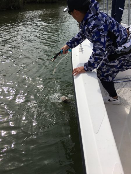 うさぎ丸 釣果