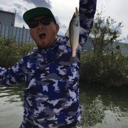 うさぎ丸 釣果