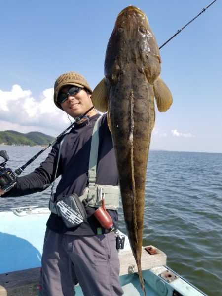 アマテラス 釣果