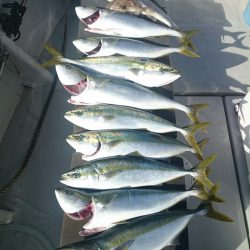 エンペラー 釣果