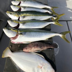 エンペラー 釣果