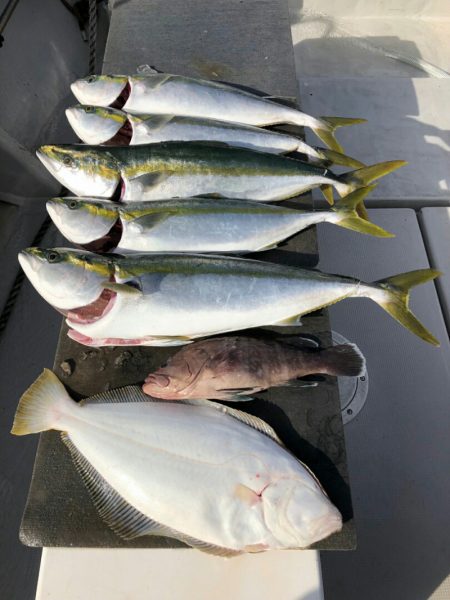 エンペラー 釣果