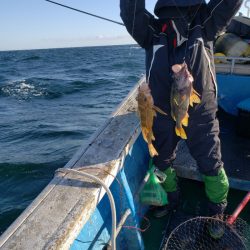 芳陽丸 釣果