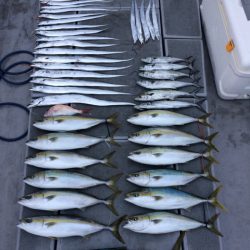 SeaRide(シーライド) 釣果