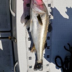 海龍丸（島根） 釣果