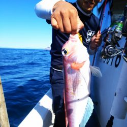 ブルドック 釣果