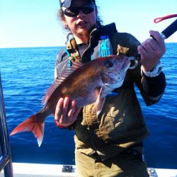 ブルドック 釣果