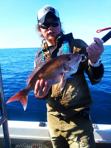 ブルドック 釣果