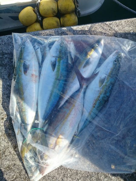 エンペラー 釣果