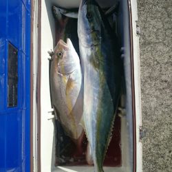 エンペラー 釣果