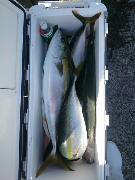 エンペラー 釣果