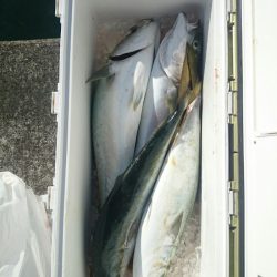 エンペラー 釣果