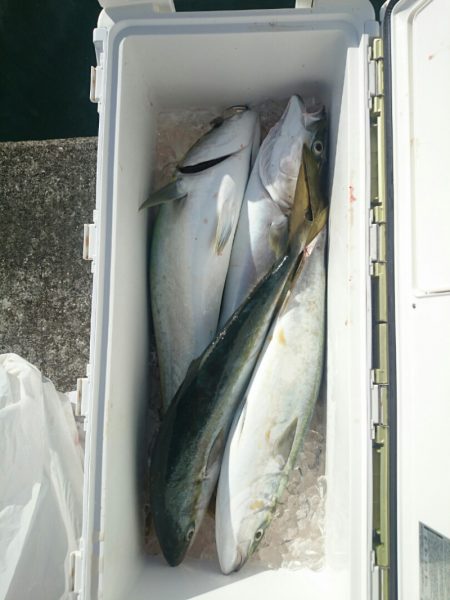 エンペラー 釣果