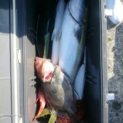 エンペラー 釣果