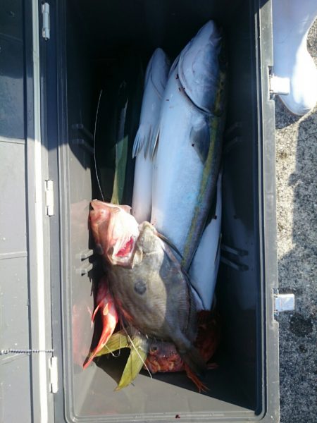 エンペラー 釣果