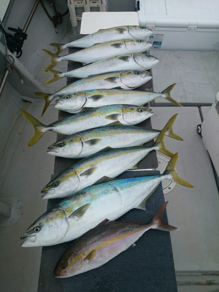 エンペラー 釣果