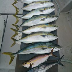 エンペラー 釣果