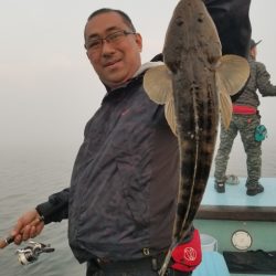 アマテラス 釣果