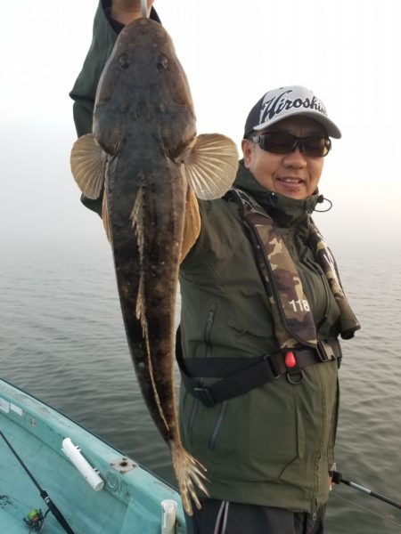 アマテラス 釣果