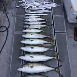 SeaRide(シーライド) 釣果