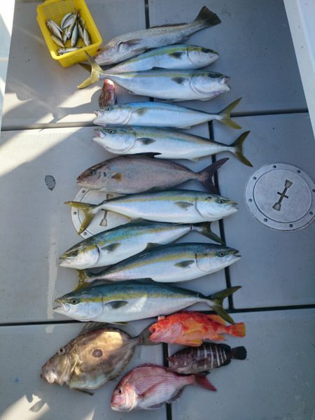 エンペラー 釣果