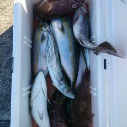 エンペラー 釣果