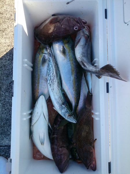 エンペラー 釣果