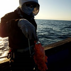 海龍丸（石川） 釣果