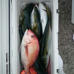 エンペラー 釣果