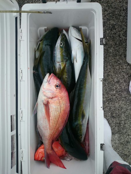 エンペラー 釣果