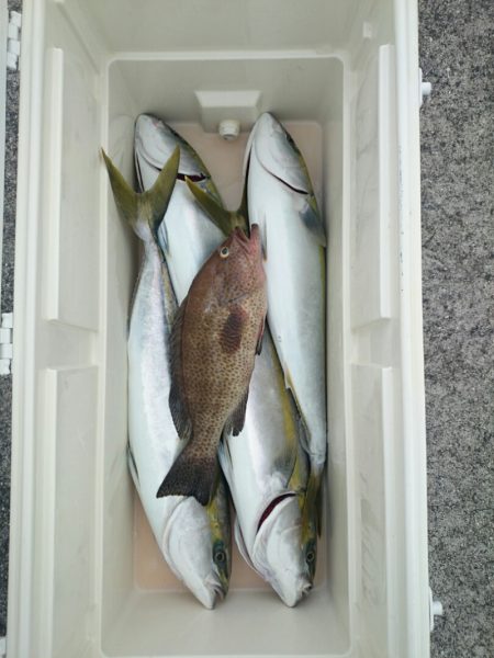 エンペラー 釣果