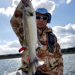 アマテラス 釣果