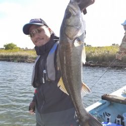 アマテラス 釣果