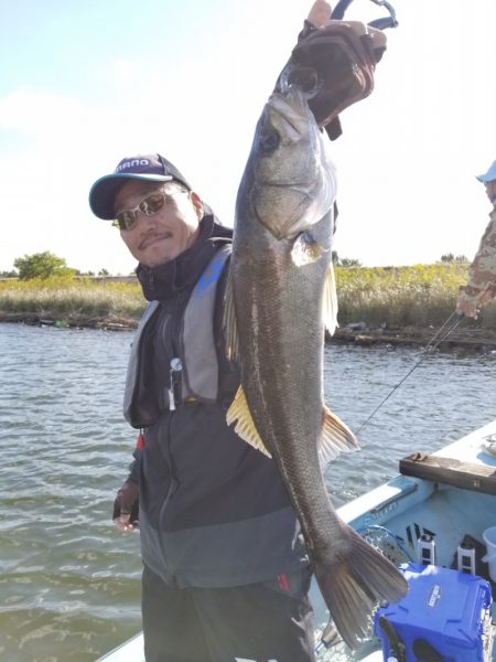 アマテラス 釣果