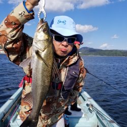 アマテラス 釣果