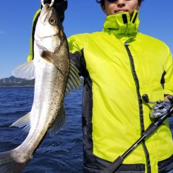 アマテラス 釣果