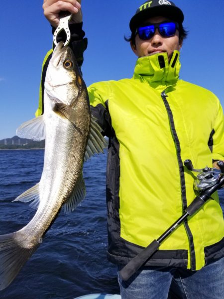 アマテラス 釣果