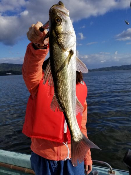 アマテラス 釣果