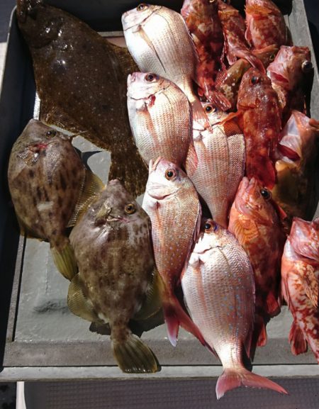 遊漁船　家入 釣果