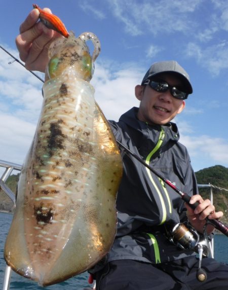 ブルースフィッシングサービス 釣果