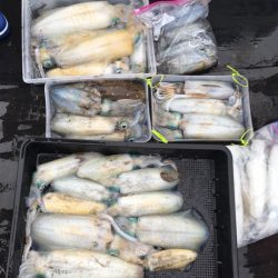 渡船屋たにぐち 釣果