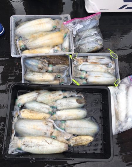 渡船屋たにぐち 釣果