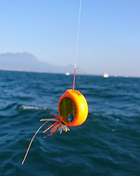 遊漁船 家入 釣果