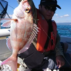 遊漁船 家入 釣果